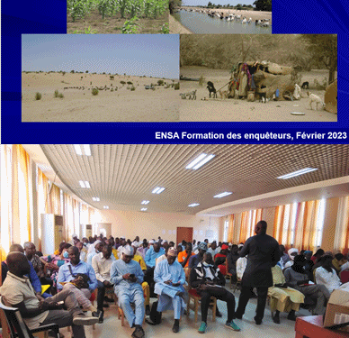 Formation, du 14 au 17 février 2023, des Agents Enquêteurs pour ENSA et PC à la Maison de la Femme du Tchad.